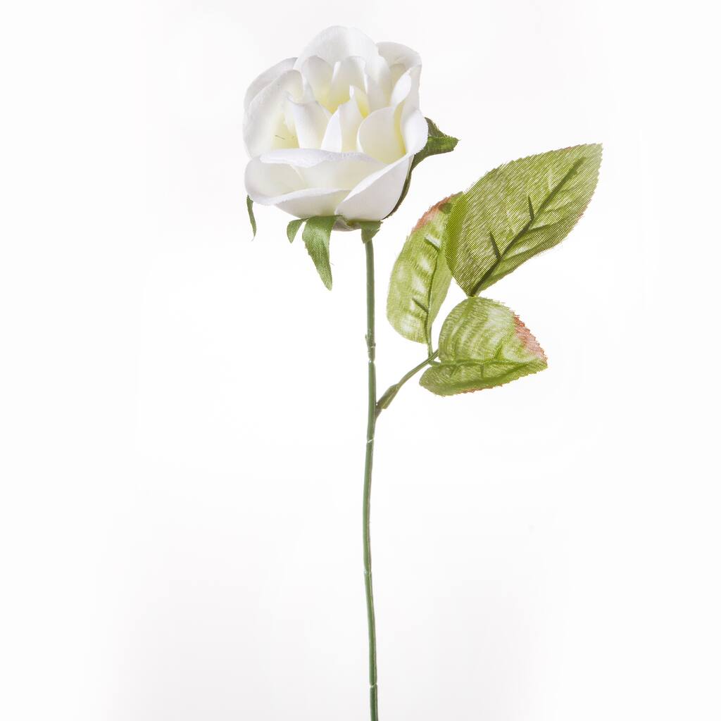 28712-V-1694-29.jpg img